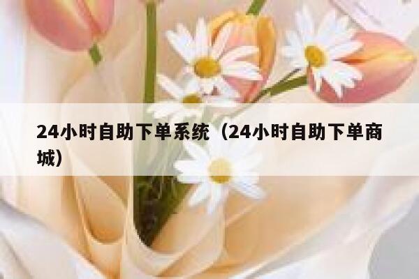 24小时自助下单系统（24小时自助下单商城）