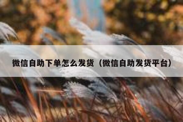 微信自助下单怎么发货（微信自助发货平台）