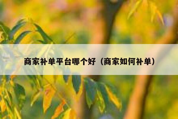 商家补单平台哪个好（商家如何补单）