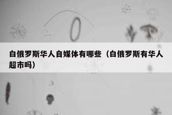 白俄罗斯华人自媒体有哪些（白俄罗斯有华人超市吗）