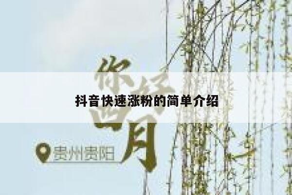 抖音快速涨粉的简单介绍