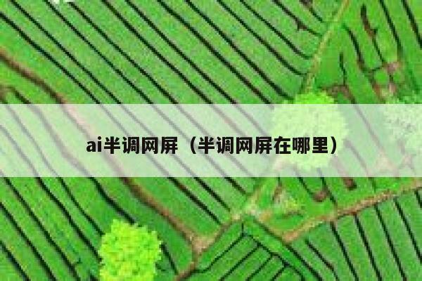 ai半调网屏（半调网屏在哪里）