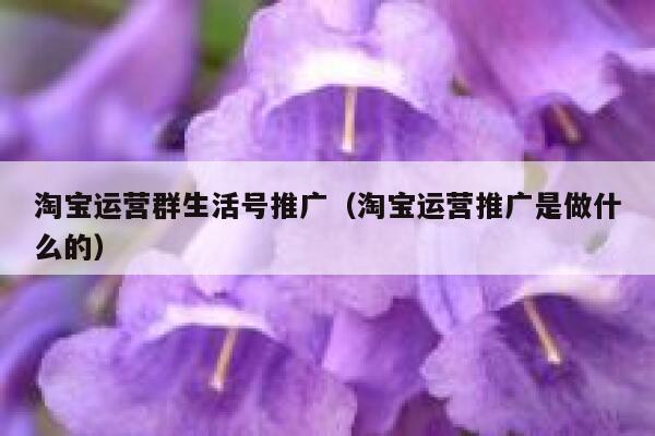 淘宝运营群生活号推广（淘宝运营推广是做什么的）