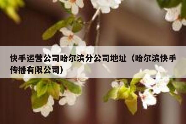 快手运营公司哈尔滨分公司地址（哈尔滨快手传播有限公司）