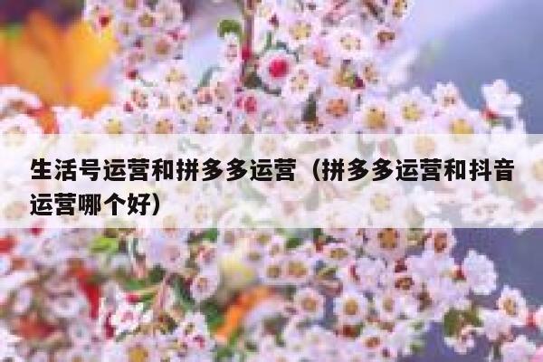 生活号运营和拼多多运营（拼多多运营和抖音运营哪个好）