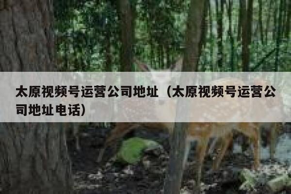 太原视频号运营公司地址（太原视频号运营公司地址电话）