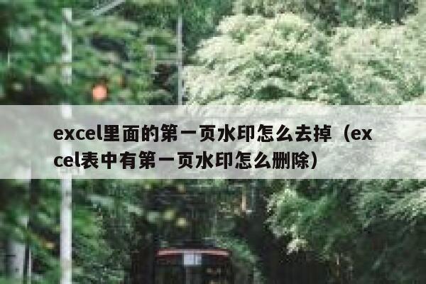 excel里面的第一页水印怎么去掉（excel表中有第一页水印怎么删除）