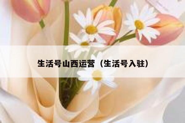 生活号山西运营（生活号入驻）