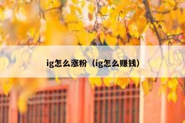 ig怎么涨粉（ig怎么赚钱）