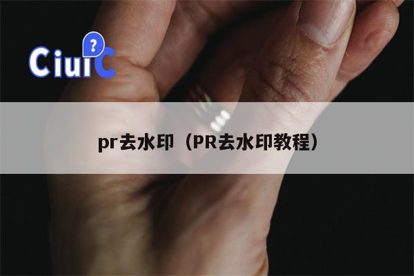 pr去水印（PR去水印教程）