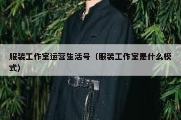 服装工作室运营生活号（服装工作室是什么模式）